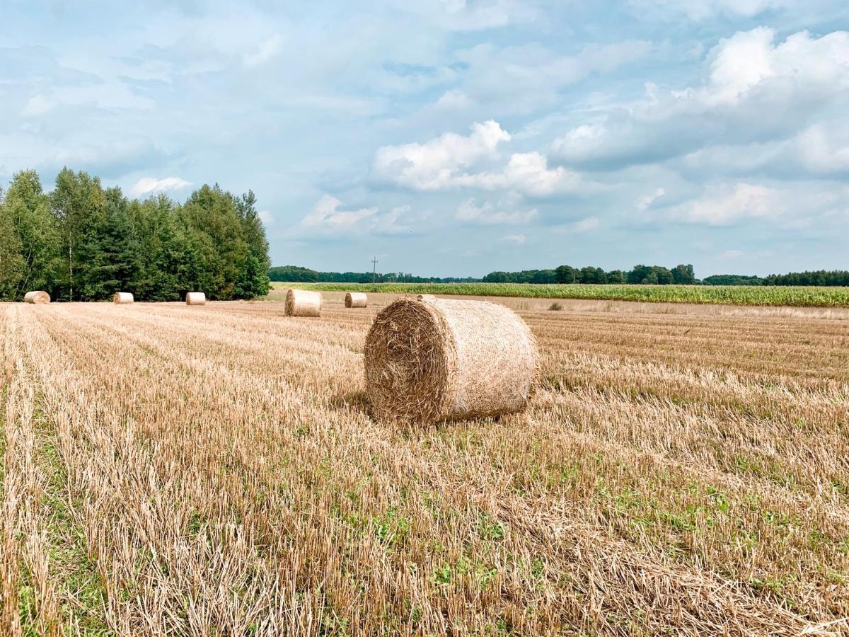 Agroturystyka Sielanka 普扎斯内什 外观 照片